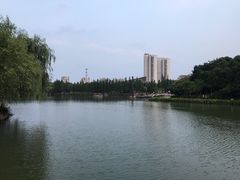 -圩墩遗址公园
