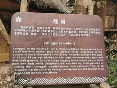 -海南槟榔谷黎苗文化旅游区