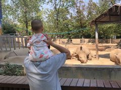 -西安秦岭野生动物园