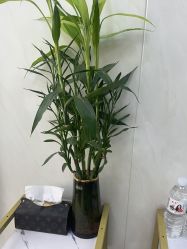 -TRIMS HAIR 修剪造型·烫染接发