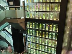 -广东中医药博物馆