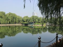 -康庄公园