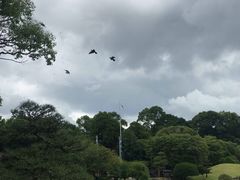 -水前寺成趣园