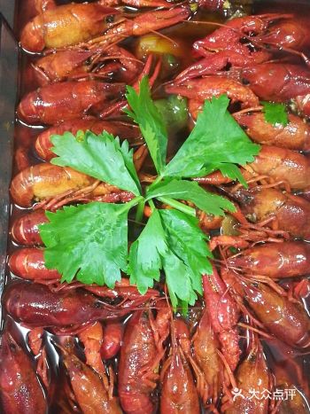 打卡！  时隔已久，大师好久没有操作过了！今天**作