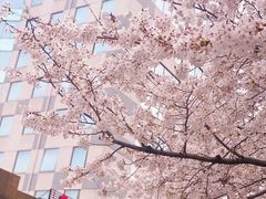 -玛格萝妮比萨屋(四平店)
