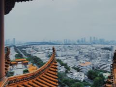 -黄鹤楼公园(黄鹤楼)