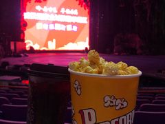 -广州长隆国际大马戏