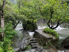 -石台牯牛降景区