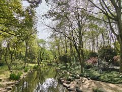 -上海共青森林公园