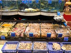 -揭阳钟记小食(福田新村店)