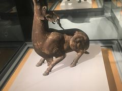 -孙记大碗皮肚面(后宰门店)