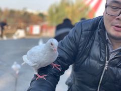 -无锡动物园·太湖欢乐园
