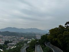 -福道