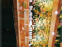 -森味花园·日本料理(伊藤洋华堂亚运村店)
