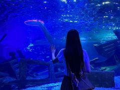 -江和美海洋公园