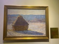 -印象莫奈时光映迹艺术展