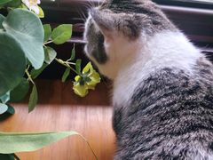-IFIF 如果花園(宽厚里店)