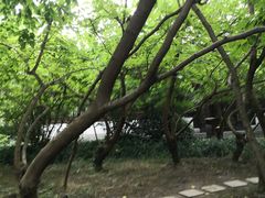-长兴太湖图影湿地文化园