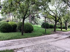 -元大都城垣遗址公园