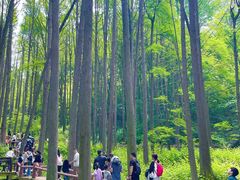 -波尔登森林公园