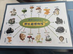 -菌彩云南野生菌火锅(呈贡七彩云南第壹城店)
