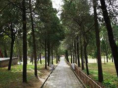 -中岳庙