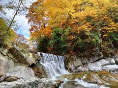 -光雾山旅游景区