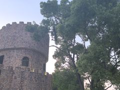 景观位-J Create城市露营咖啡·简餐·宠物(上海动物园店)