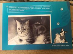 -美联众合动物医院·24h转诊中心