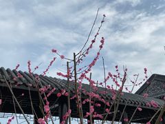 -梁鸿国家湿地公园