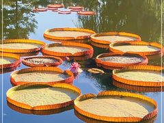 -国家植物园南园