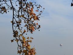 -东湖听涛景区