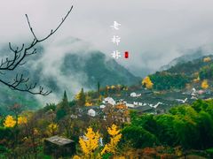 -四明山国家森林公园