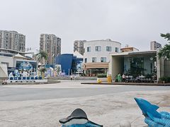 -西安曲江海洋极地公园
