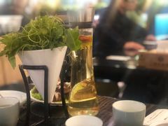 -东椰·海南椰子鸡火锅(朝阳门店)