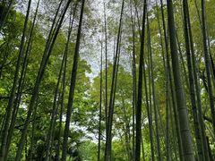 -杭州动物园