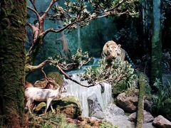 -武汉园博园(武汉自然博物馆)