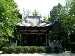 -汇龙潭