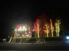 -千岛湖天屿景区