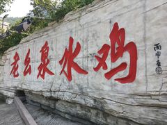 -老幺泉水鸡