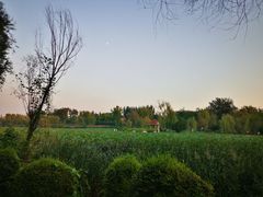 -思念果岭悦温泉