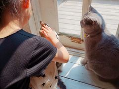 -海边的猫和咖啡馆