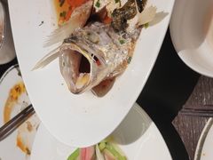 -甄御•海鲜新青岛菜(麦岛店)