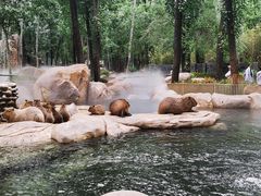 -北京野生动物园