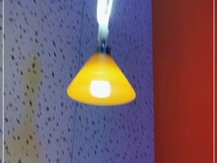 -四海酒家生态粤菜