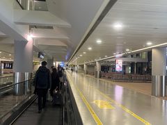-上海浦东国际机场-T2航站楼