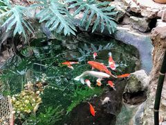 -聚缘堂·海鲜私房菜(松岭路店)