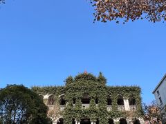 -杭州新新饭店·1913餐厅