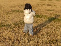 -汉长安城未央宫国家考古遗址公园