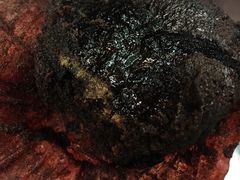 -百年义利(百万庄店)